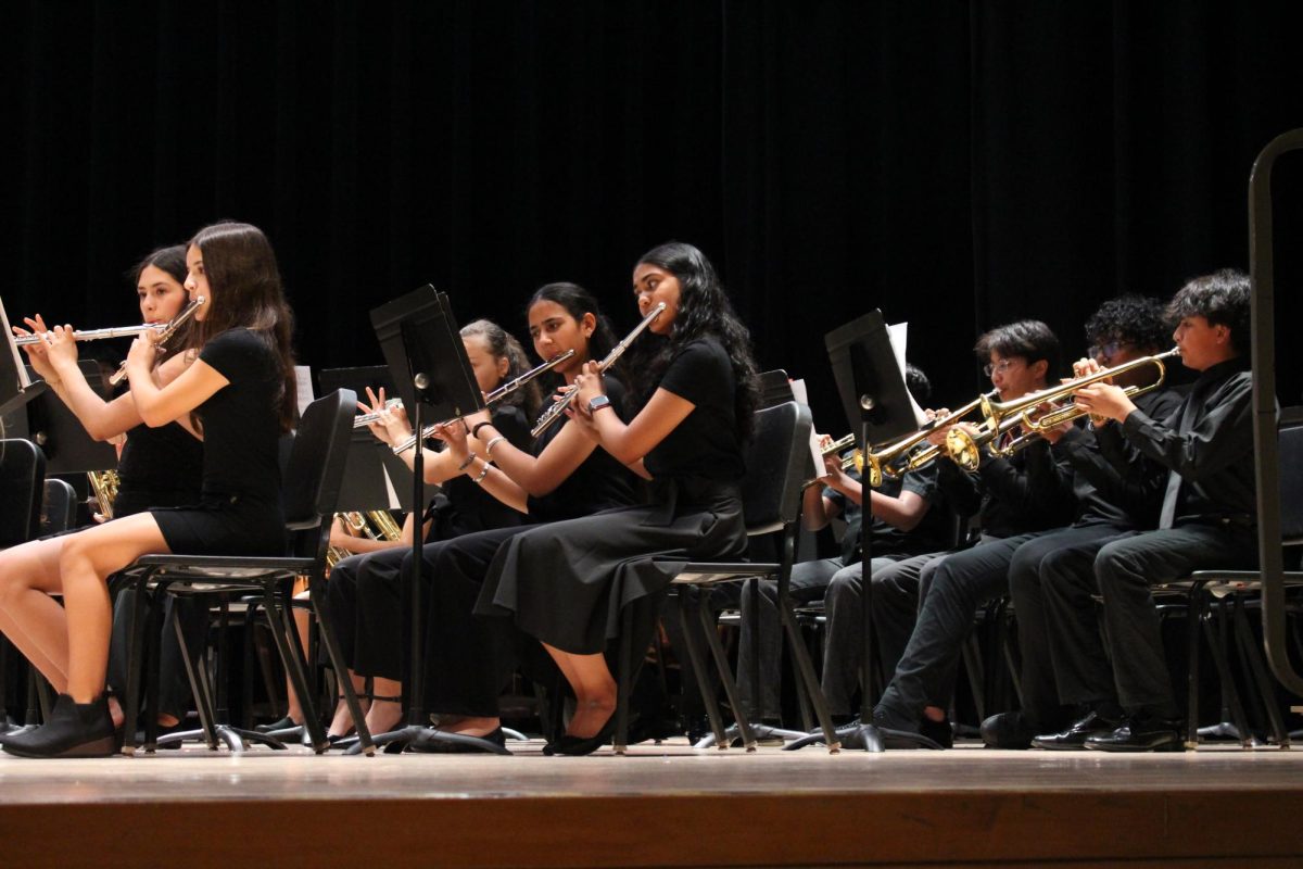 The bands showcase the months of discipline and hard work they endured through during the concert.