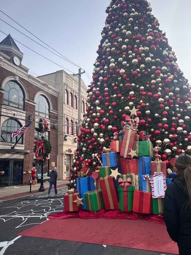 To many, "themed” decor provides an aesthetic assortment of ornaments and lights.  