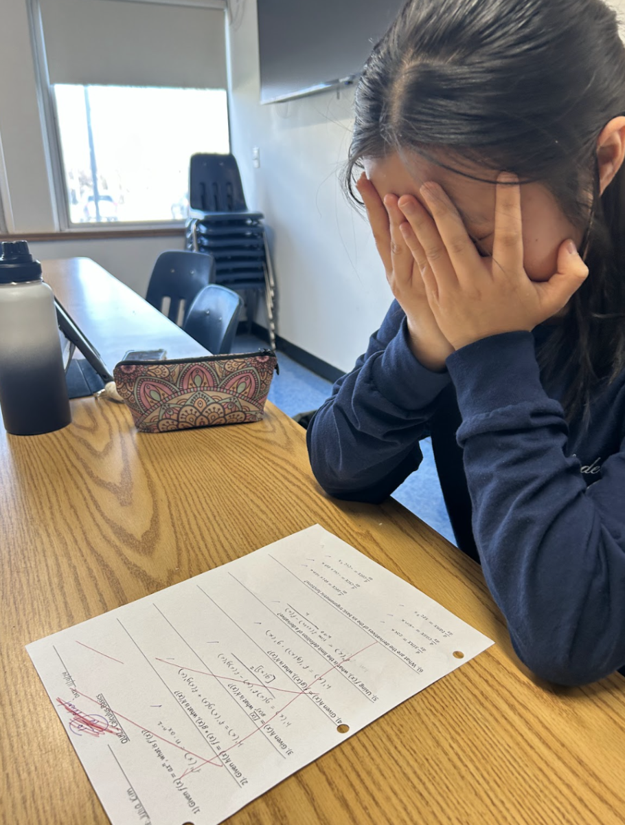 Senior has a mental breakdown from the results of her senioritis. (Source by Bobo the Clown)