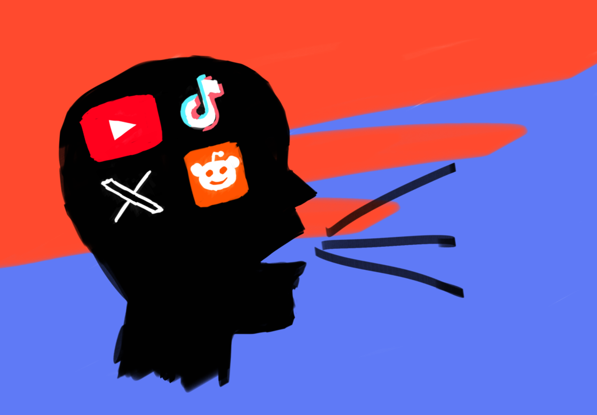 As much as social media can be used as a political strategy and tool, it can also be employed as a weapon against opponents.