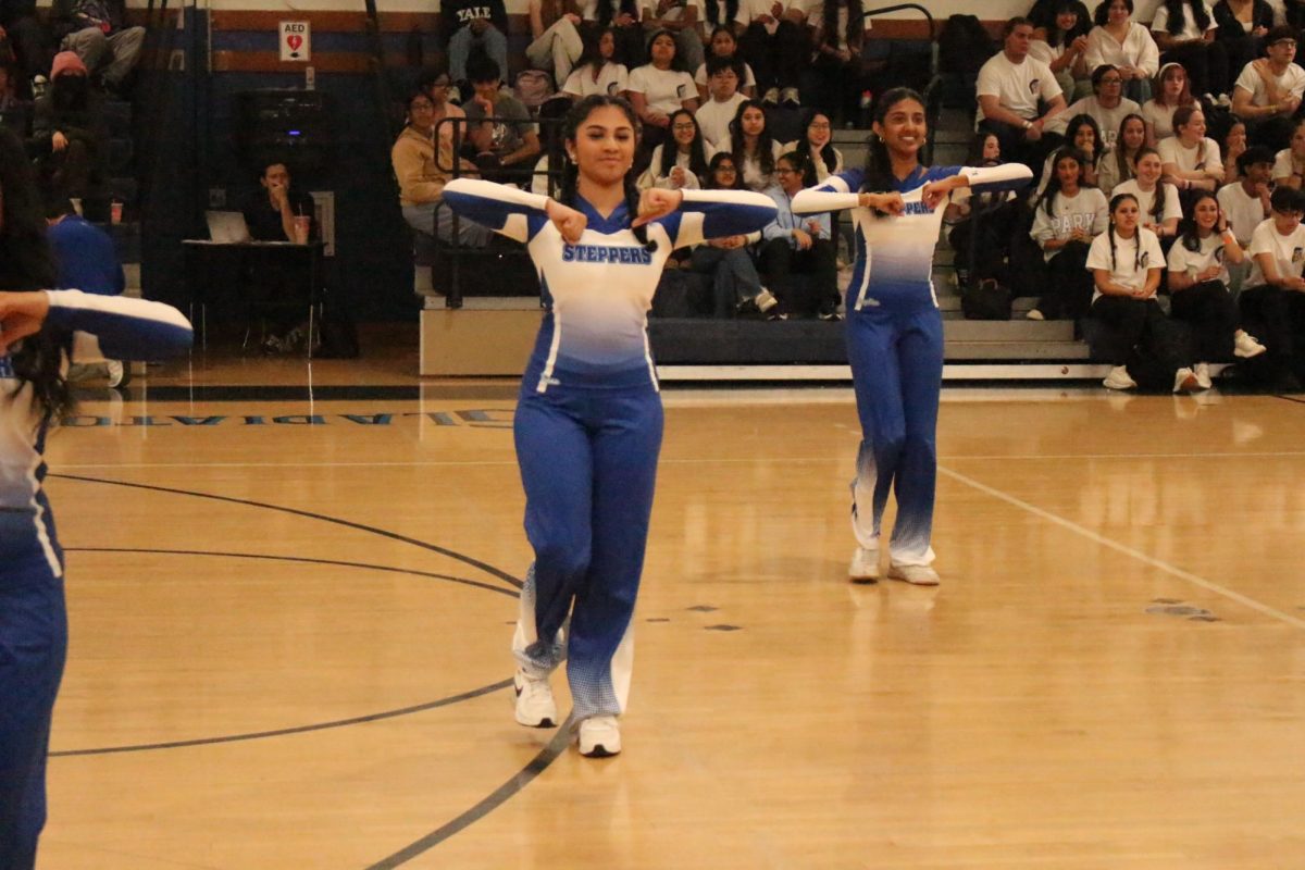 The Step Team hits their iconic pose while performing for the juniors and seniors. 