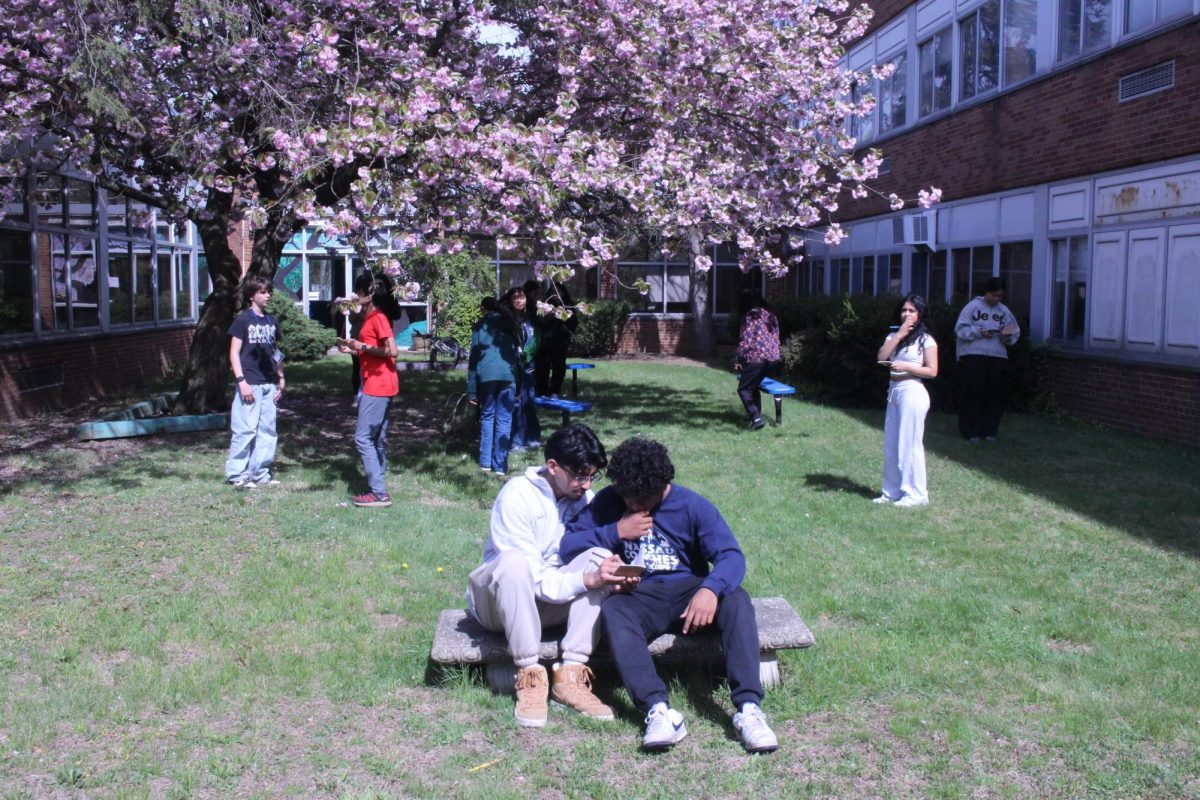 Students explore the art garden as they search for writing inspiration. 