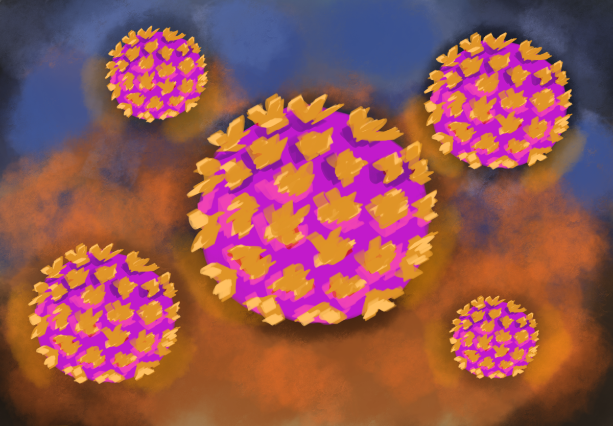 A recent outbreak of hantavirus infections has prompted concerns regarding public health and social media misinformation. 